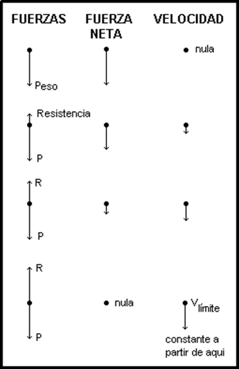 http://ciencianet.com/imagenes/vlimite.gif